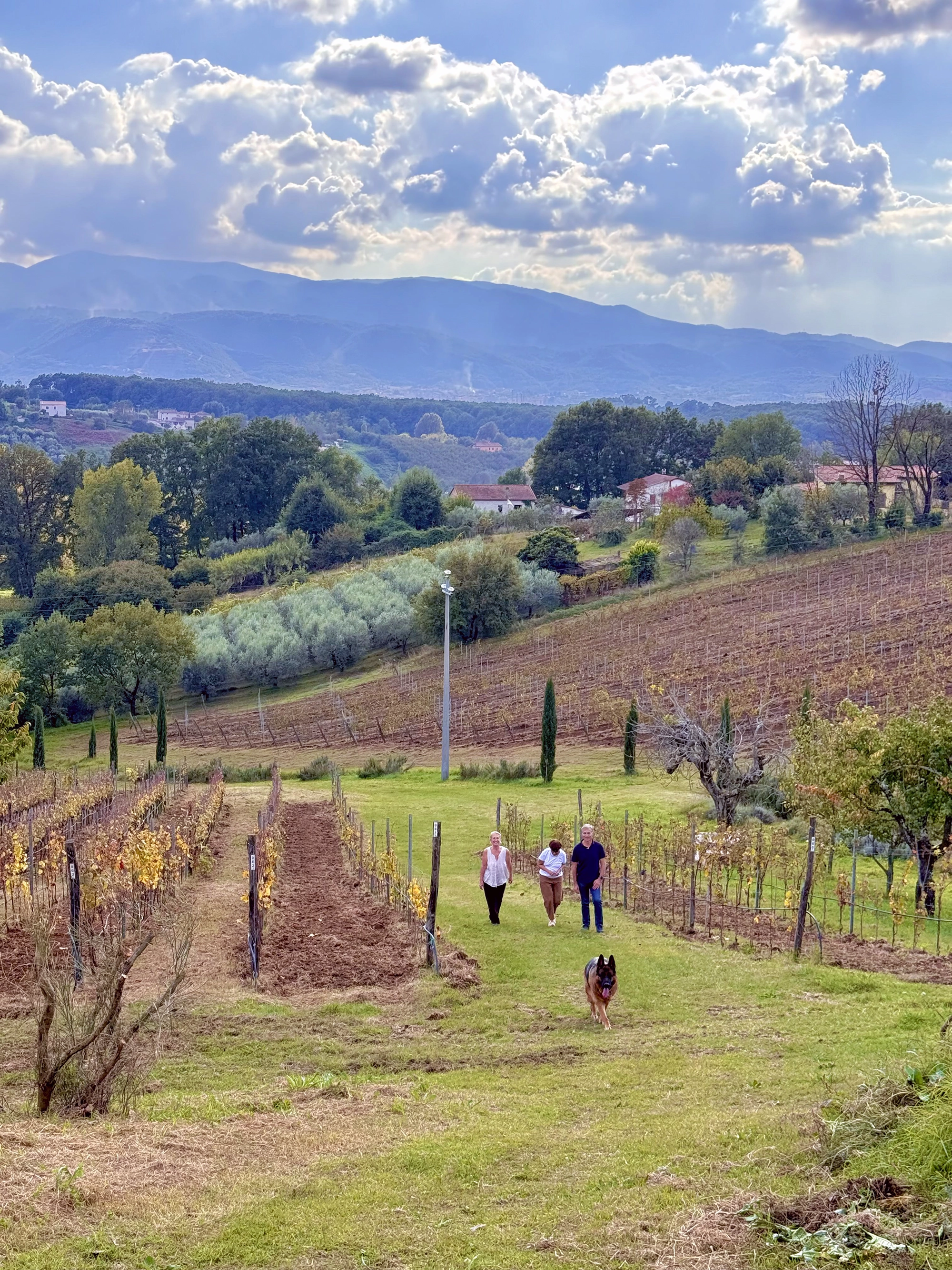 Herbs, Cesanese & Butterflies in Rome’s Countryside